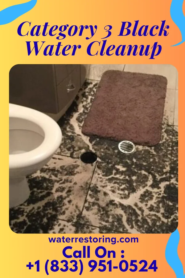 Category 3 Black Water Cleanup in Groesbeck, OH
