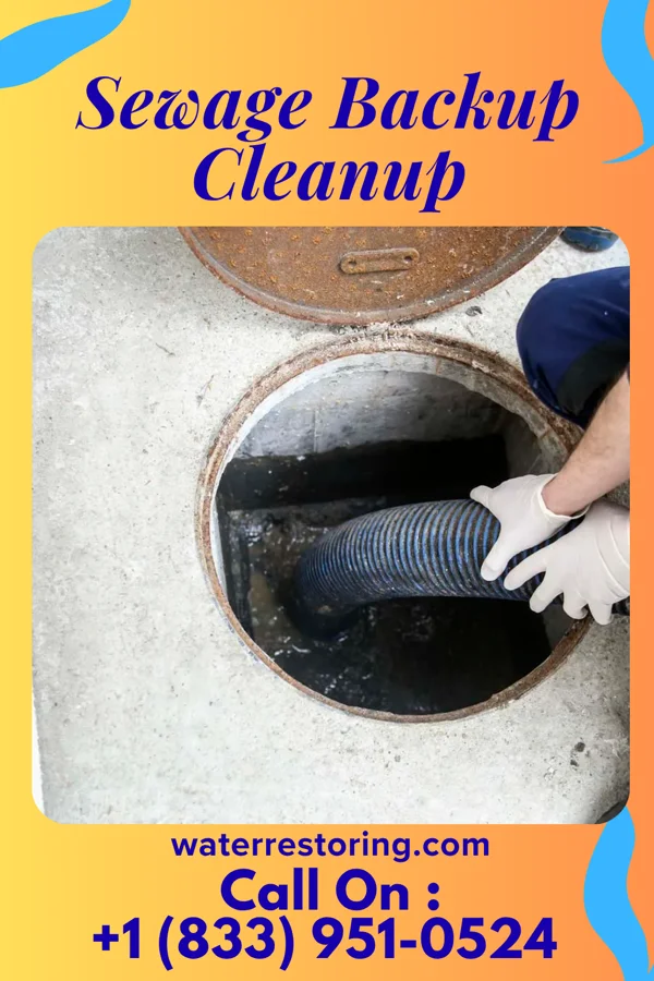 Sewage Backup Cleanup in Groesbeck, OH