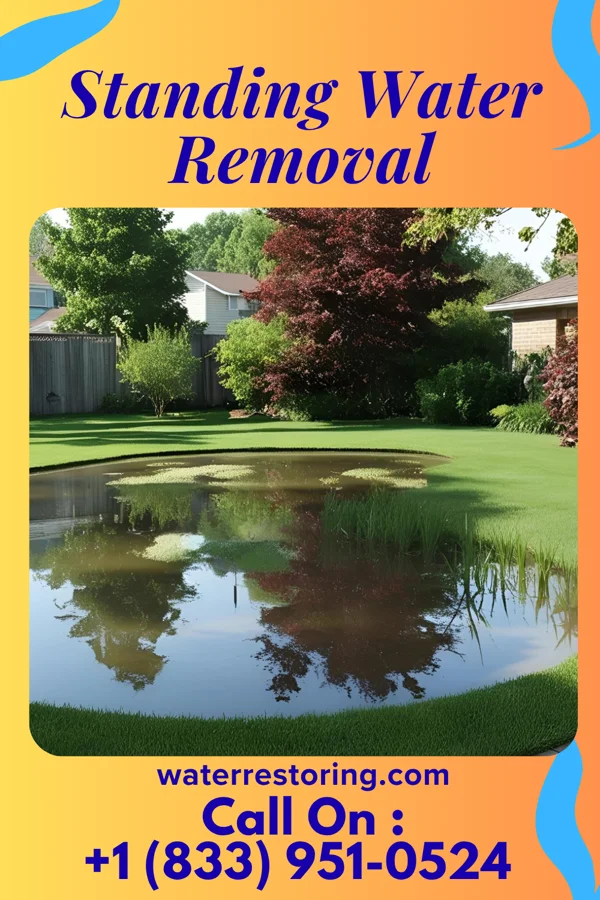 Standing Water Removal in Groesbeck, OH